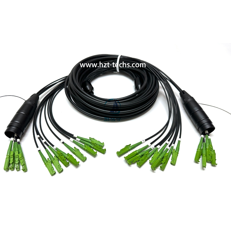 Flexible Armored 12 Core E2000/APC to E2000/APC SM&MM Breakout Fiber Patch Cords