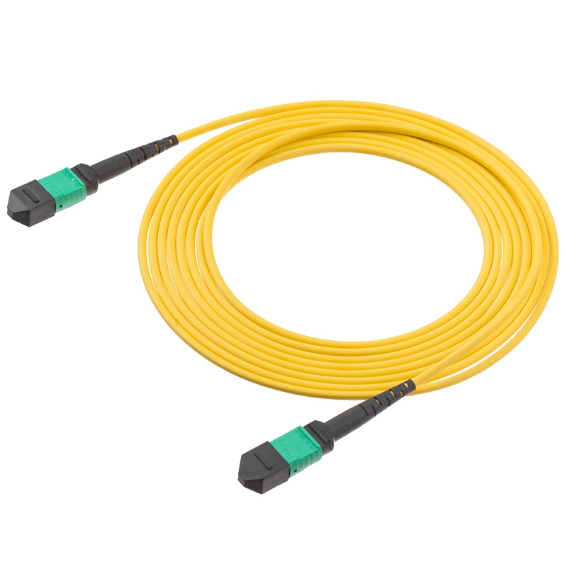 8 Core Singlemode MTP/MPO-MTP/MPO Fiber Patch Cord