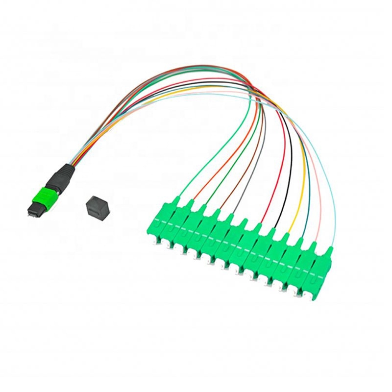 12 Core MTP(Male) - SC/APC Fanout 0.9mm 30cm Singlemode Fiber Optical Cable