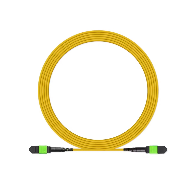 24 Core Singlemode MTP/MPO-MTP/MPO Fiber Patch Cord